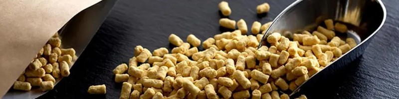 �����̌��N����閳�Y���h�b�O�t�[�h�̏d�v���Ƃ������ߐ��i���T�C�g